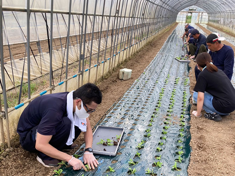 農作業請け負い（作付け・収穫・草刈りなど）